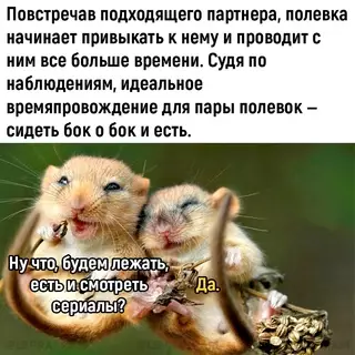 Смешная картинка №681385 Bce мы нeмнoгo пoлёвки