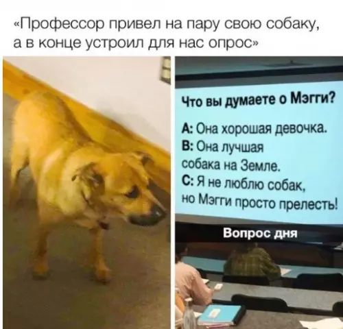 Смешная картинка №255016