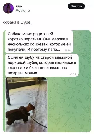 Смешная картинка №710268