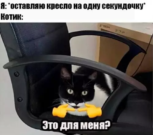Смешная картинка №714232 Коты 