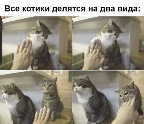 Смешная картинка №340560