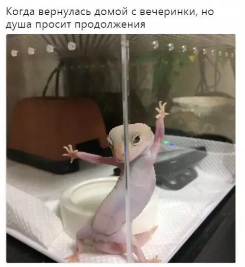 Смешная картинка №233971