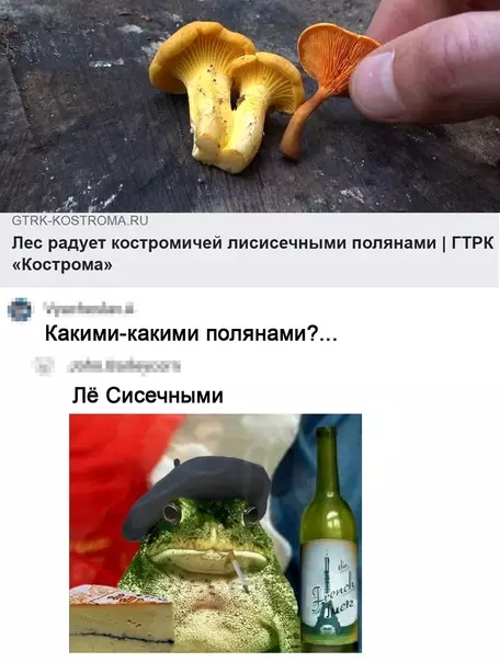 Смешная картинка №592010 Лиceceчный мeм