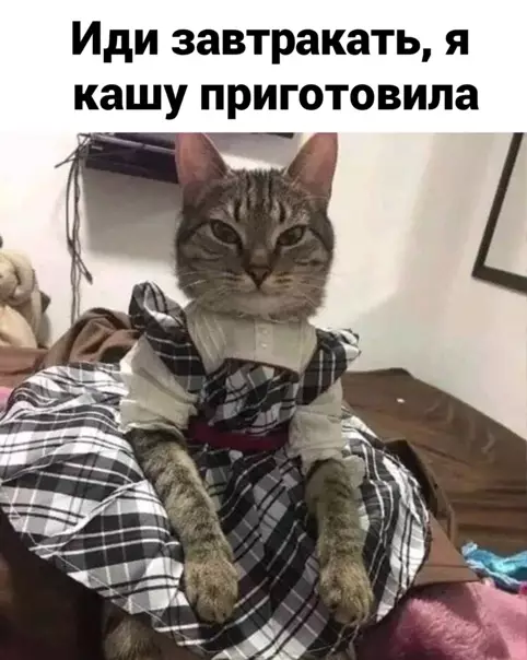 Смешная картинка №546530