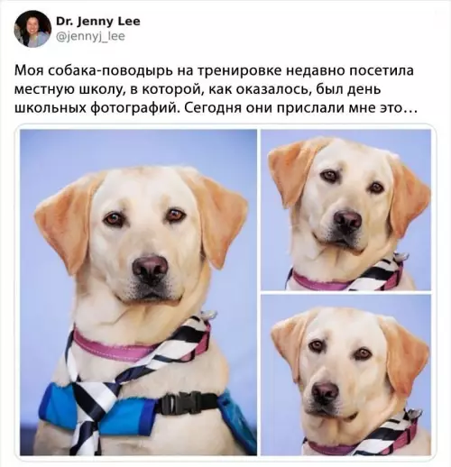 Смешная картинка №694086 Эти фотки сделали мой день
Он такой важный