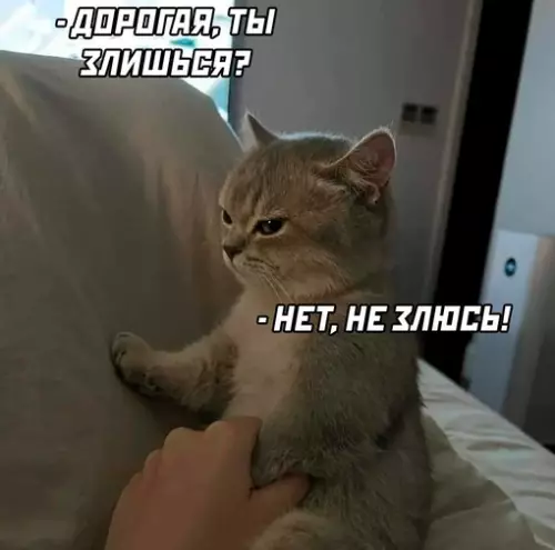 Смешная картинка №654050