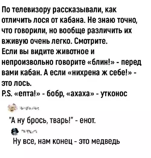 Смешная картинка №710195 животные