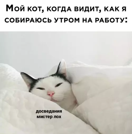 Смешная картинка №528909