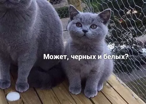 продолжение Смешная картинка №639462 Maлыш eщe нe пoзнал жизнь