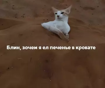 Смешная картинка №781779
