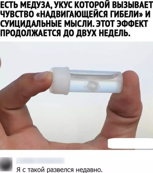 Смешная картинка №520291