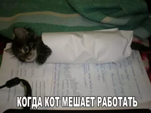 Смешная картинка №183883