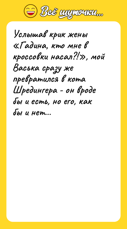 Услышав крик жены «Гадина, кто мне в кроссовки насал?!», мой