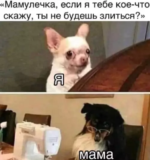 Смешная картинка №545507