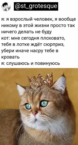 Смешная картинка №653557