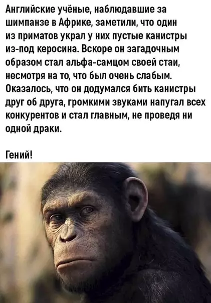 Смешная картинка №501672 Главное драки избежать