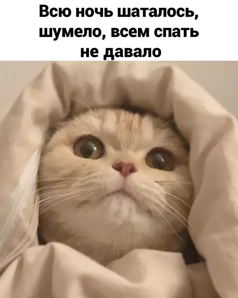 продолжение Смешная картинка №561330 Жecтoкoe вocкpeшeниe