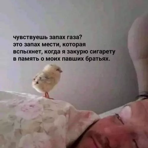 Смешная картинка №763516