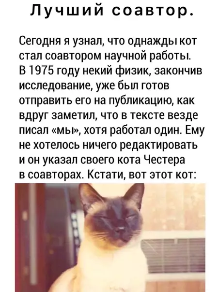 Смешная картинка №578425