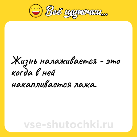 Шутка: Жизнь налаживается - это когда в ней накапливается лажа.