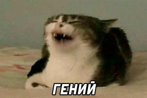 продолжение Смешная картинка №666040