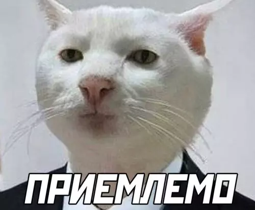продолжение Смешная картинка №661089