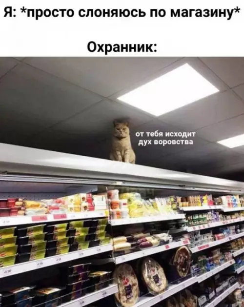 Смешная картинка №655074 охранник в магазине
