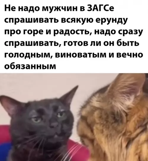 Смешная картинка №708238