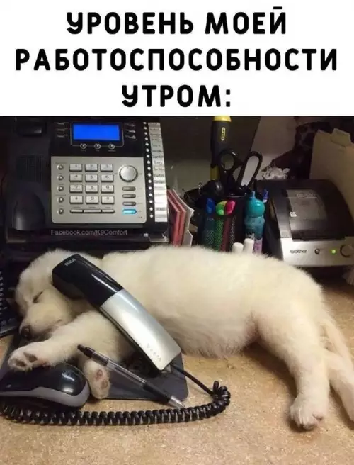 Смешная картинка №704369