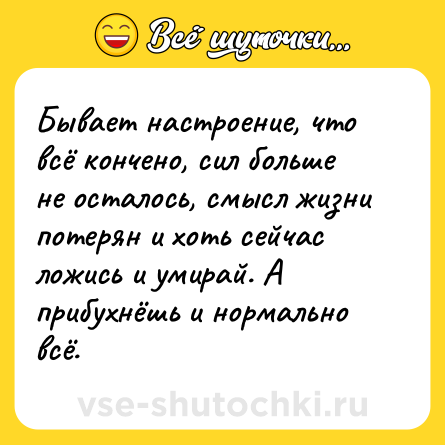 Шутка: Бывает настроение, что всё кончено, сил больше не осталось, смысл жизни потерян и хоть сейчас ложись и умирай. А прибухнёшь и нормально всё.