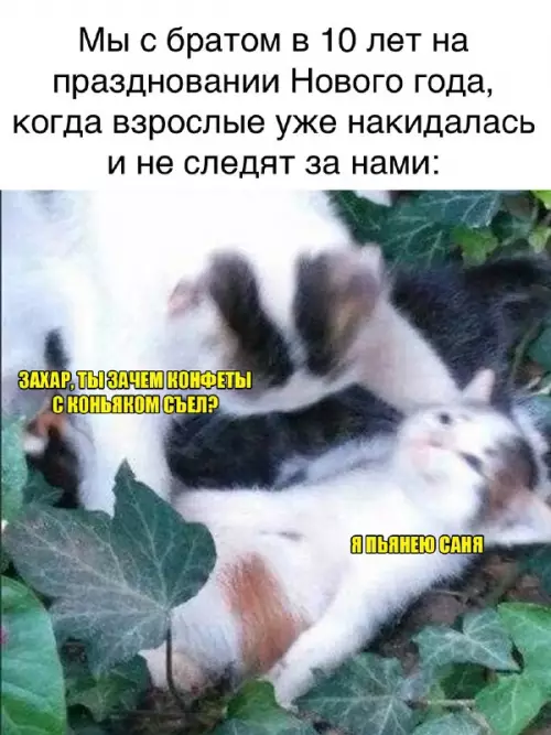 Смешная картинка №661562
