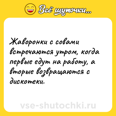Шутка: Жаворонки с совами встречаются утром, когда первые едут на работу, а вторые возвращаются с дискотеки.