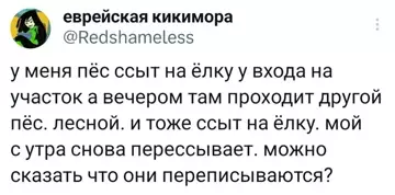Смешная картинка №784061