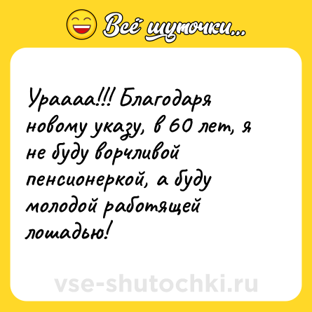 Шутка: Ураааа!!! Благодаря новому указу, в 60 лет, я не буду ворчливой пенсионеркой, а буду молодой работящей лошадью!