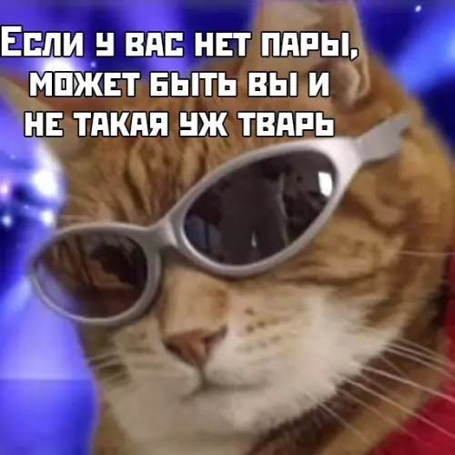 Смешная картинка №428036