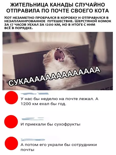 Смешная картинка №319630 почта россии