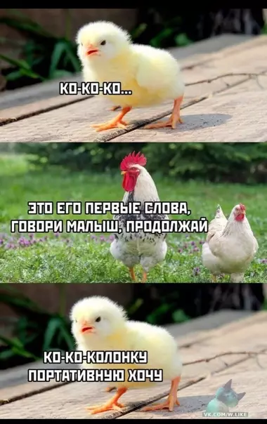 Смешная картинка №371702