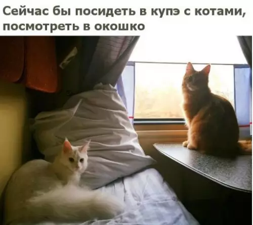 Смешная картинка №215851