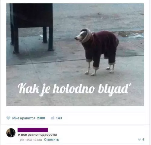 Смешная картинка №237266