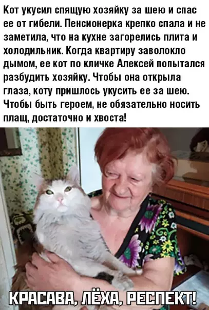 Смешная картинка №463207