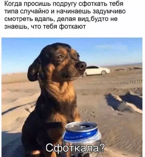 Смешная картинка №698927