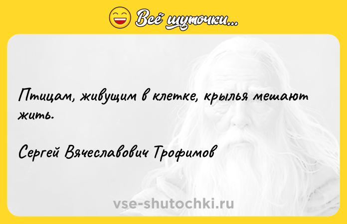 Цитата: Птицам, живущим в клетке, крылья мешают жить.Сергей Вячеславович Трофимов