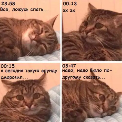 Смешная картинка №220311 И так каждую ночь