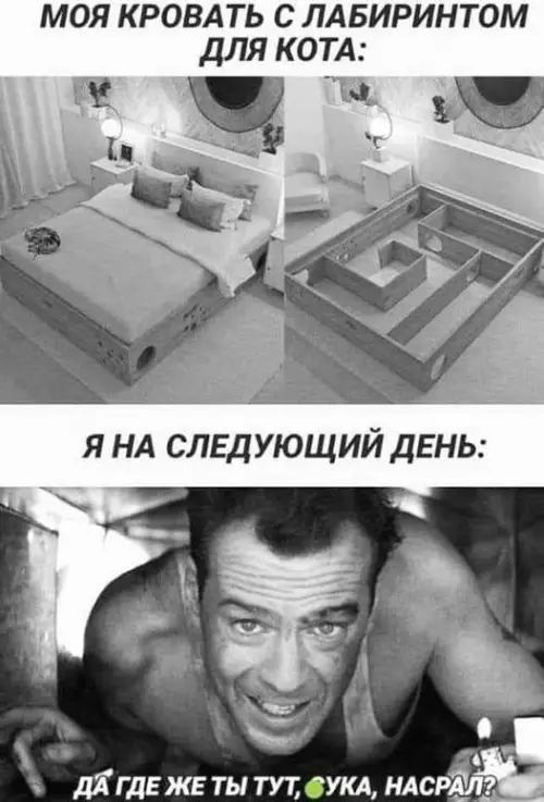 Смешная картинка №670129