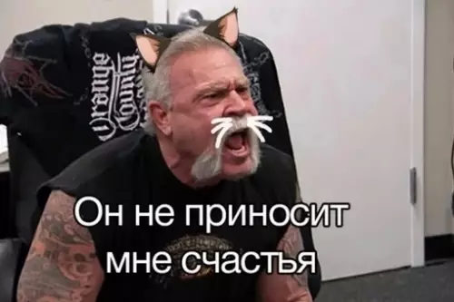 продолжение Смешная картинка №688766 Коротко о моей кошке