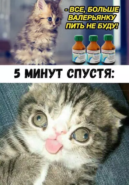 Смешная картинка №224070