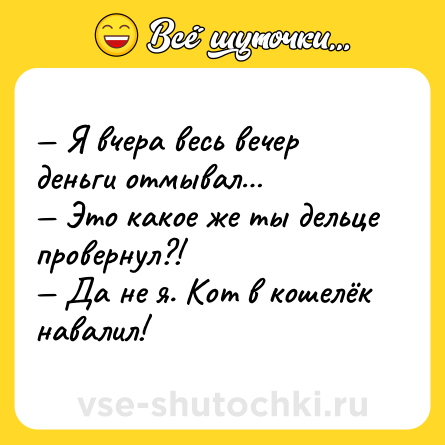 Шутка: — Я вчера весь вечер деньги отмывал…<br>— Это какое же ты дельце провернул?!<br>— Да не я. Кот в кошелёк навалил!
