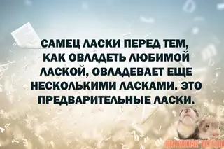 Смешная картинка №713364