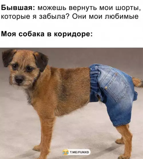 Смешная картинка №651036