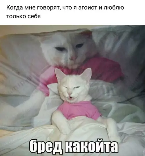 Смешная картинка №280536